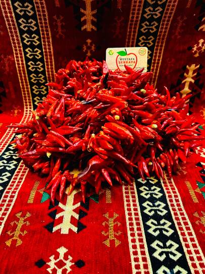 Atom Sivri Biber 1 ip 